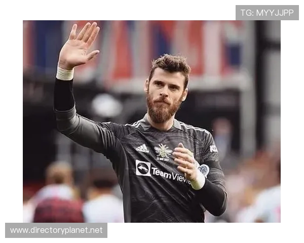 维迪奇赞卡里克冷静可靠得信任